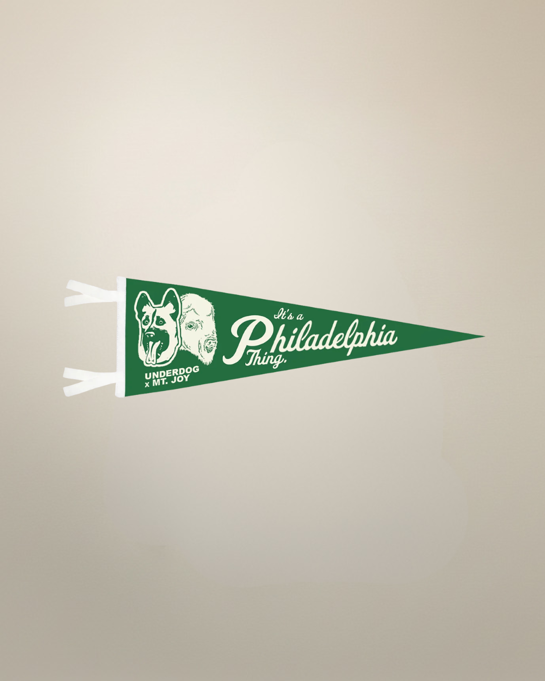 MT. JOY X UNDERDOG PENNANT