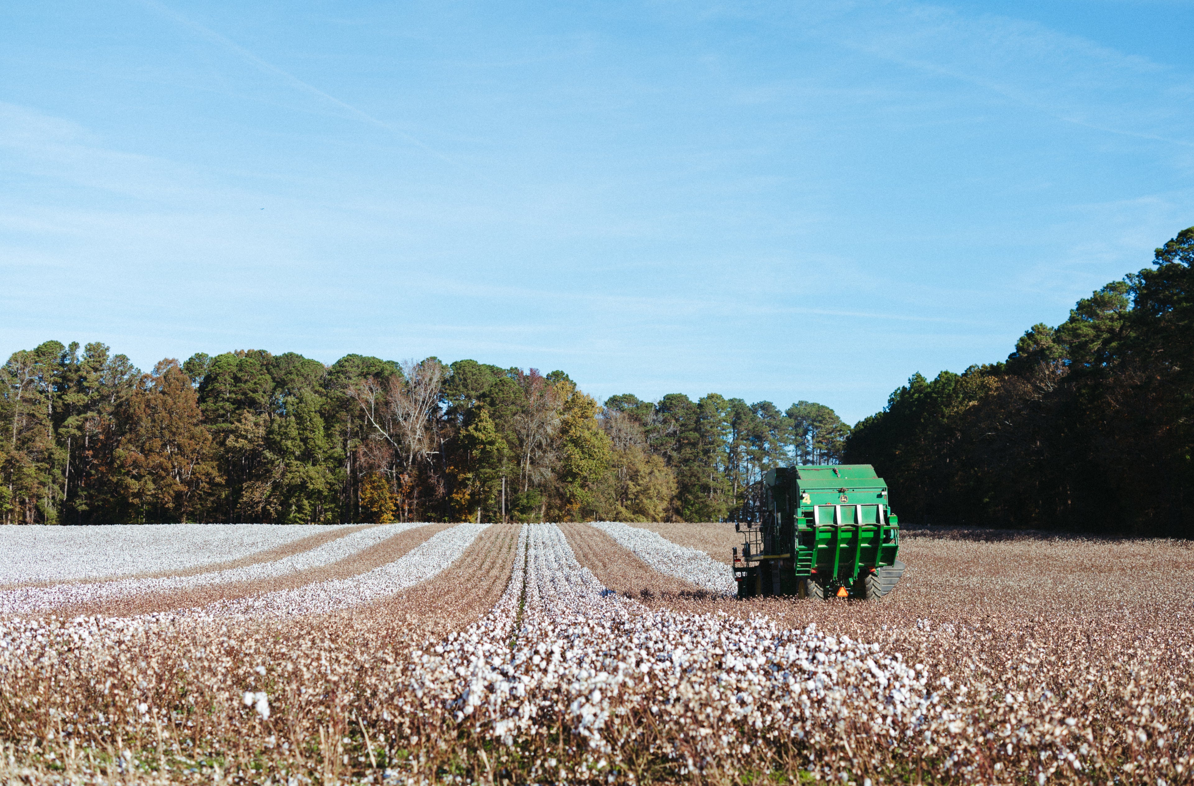 Image of cotton field with green tractor